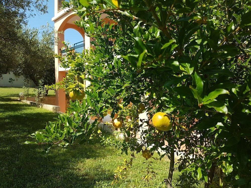 Aloni Hotel Pefkochori Luaran gambar